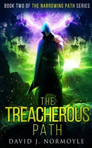 Knjiga The Treacherous Path MR David J Normoyle
