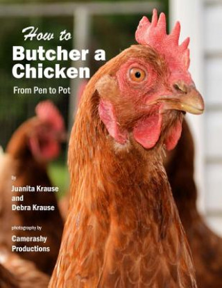 Könyv How to Butcher a Chicken: From Pen to Pot Juanita Krause