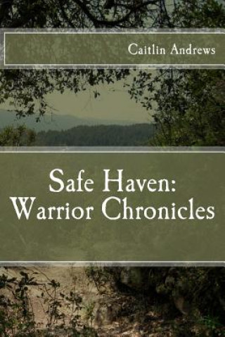 Book Safe Haven: Warrior Chronicles: The Coming Storm Caitlin Andrews