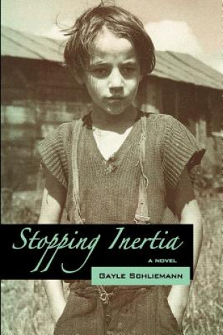 Buch Stopping Inertia Gayle Schliemann