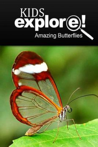 Kniha Amazing Butterflies - Kids Explore: Animal books nonfiction - books ages 5-6 Kids Explore!