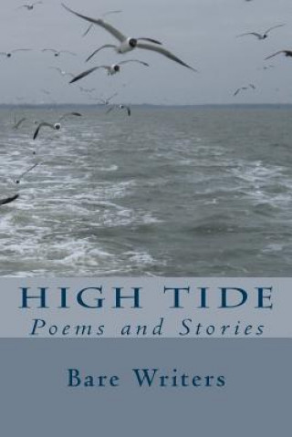 Книга High Tide Bare Writers