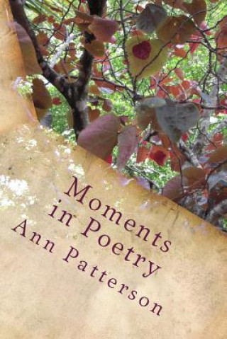 Kniha Moments in Poetry: Poems of reflection, social and family, historical persons and events, life itself Ann Patterson