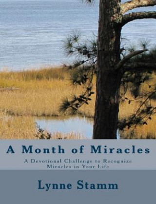 Книга A Month of Miracles: A Devotional Challenge to Recognize Miracles in Your Life Lynne Stamm