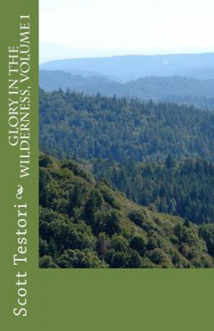 Carte Glory In The Wilderness, Volume 1 Scott Testori