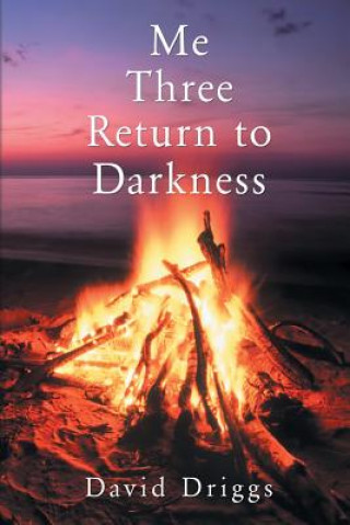 Book Me Three Return to Darkness David M Driggs