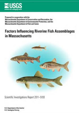 Kniha Factors Influencing Riverine Fish Assemblages in Massachusetts 