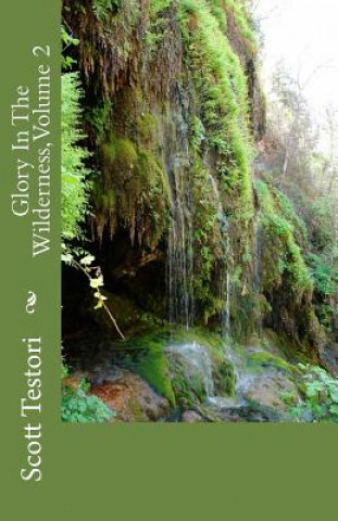 Kniha Glory In The Wilderness, Volume 2 Scott Testori