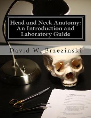 Książka Head and Neck Anatomy: An Introduction and Laboratory Guide Dr David William Brzezinski M D