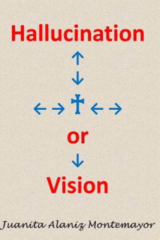 Boek Hallucination or Vision Juanita Alaniz Montemayor
