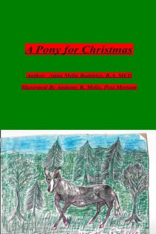 Könyv A Pony for Christmas: Memories of My Dad and Grandfathers MS Anita Mello Baddeley