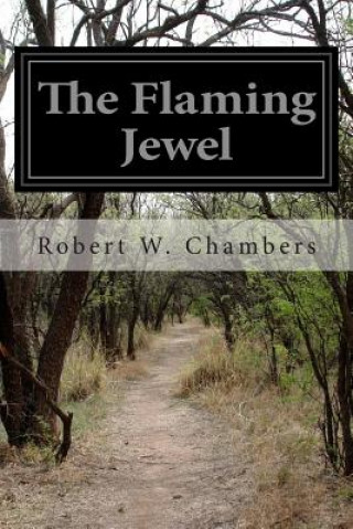 Kniha The Flaming Jewel Robert W Chambers