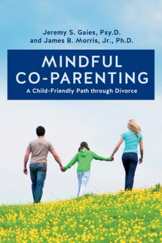 Carte Mindful Co-parenting: A Child-Friendly Path through Divorce Psy D Jeremy S Gaies