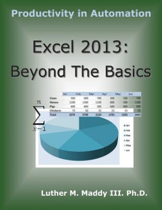 Carte Excel 2013: Beyond the Basics Luther M Maddy III