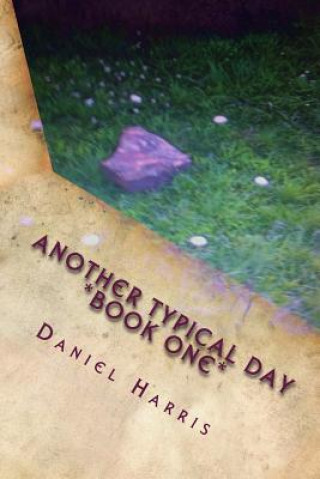 Buch Another Typical Day Daniel B Harris