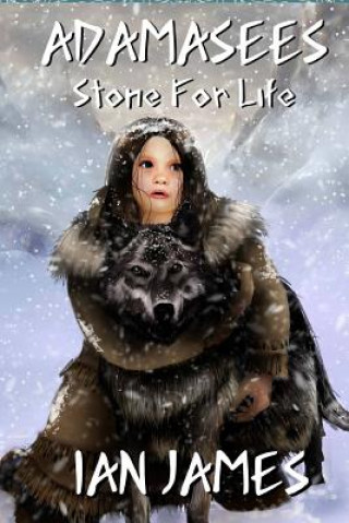 Kniha Stone for Life: Adamasees Ian James