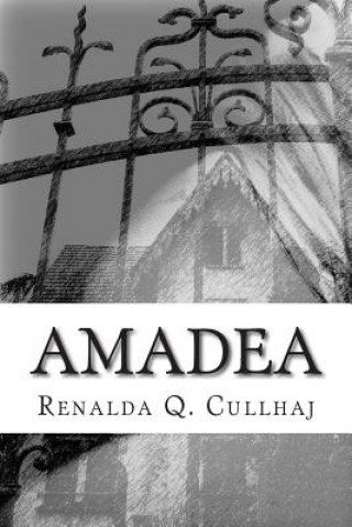 Kniha Amadea Renalda Q Cullhaj