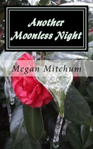 Book Another Moonless Night: Darkness Before Dawn Megan P Mitchum