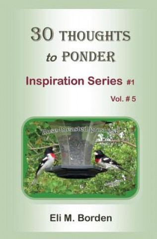 Knjiga 30 Thoughts to Ponder: Inspiration Series # 1 Eli M Borden Phd