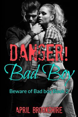 Kniha Danger! Bad Boy April Brookshire
