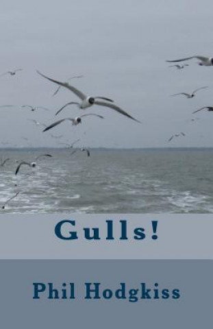 Libro Gulls! Phil Hodgkiss