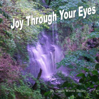 Knjiga Joy Through Your Eyes Dawn Wentz Bailey