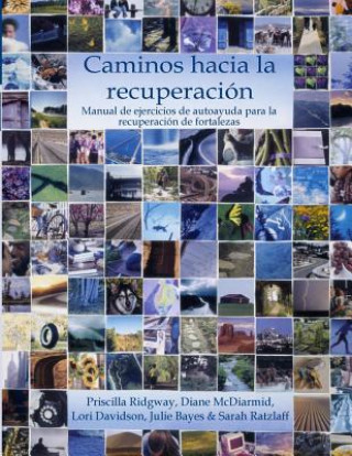 Книга Caminos hacia la recuperación: Manual de ejercicios de autoayuda para la recuperación de fortalezas Priscilla Ridgway