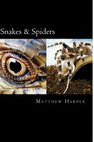 Kniha Snakes & Spiders: Two Fascinating Books Combined Containing Facts, Trivia, Images & Memory Recall Quiz: Suitable for Adults & Children Matthew Harper