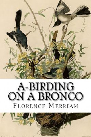 Kniha A-Birding on a Bronco Florence A Merriam