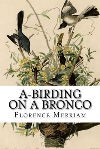 Könyv A-Birding on a Bronco Florence A Merriam