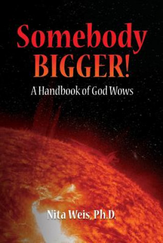 Boek Somebody Bigger: A Handbook of God Wows Ph D Nita Weis