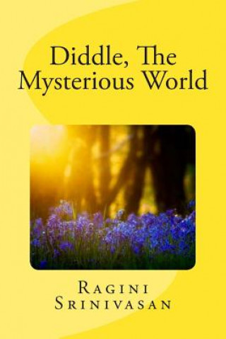 Kniha Diddle, The Mysterious World Ragini Srinivasan