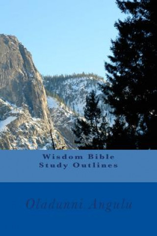 Książka Wisdom Bible Study Outlines Mrs Oladunni Angulu