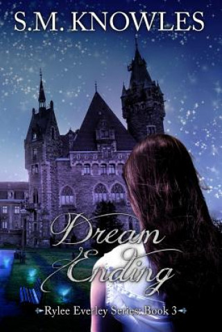 Kniha Dream Ending S M Knowles