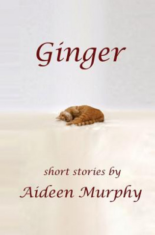 Kniha Ginger: Short Stories Aideen Patricia Murphy