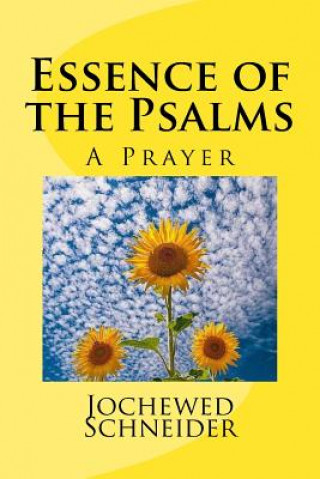 Könyv Essence of the Psalms: A Prayer Jochewed Schneider