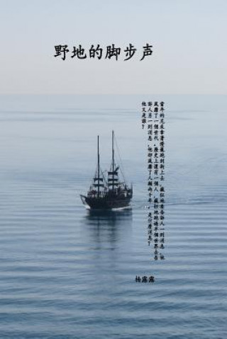 Книга The Adventure of Apostle Paul and His Letters (Simplified Chinese Edition) Lulu Yang