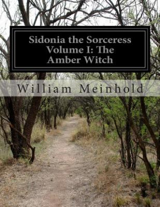 Kniha Sidonia the Sorceress Volume I: The Amber Witch William Meinhold