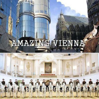 Kniha Amazing Vienna Naira Matevosyan