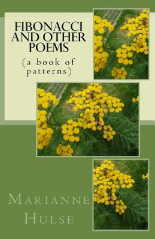 Kniha Fibonacci and other poems: (a book of patterns) Marianne Hulse