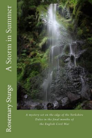 Libro A Storm in Summer: A mystery set on the edge of the Yorkshire Dales in the final months of the English Civil War Rosemary Sturge