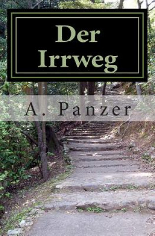 Kniha Der Irrweg A Panzer