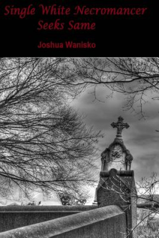 Knjiga Single White Necromancer Seeks Same Joshua Wanisko