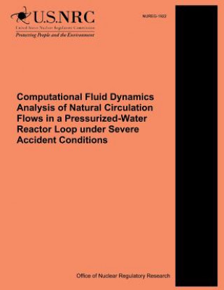 Kniha Computational Fluid Dynamics Analysis of Natural Circulation Flows in a Pressurized-Water Reactor Loop under Severe Accident Conditions U S Nuclear Regulatory Commission