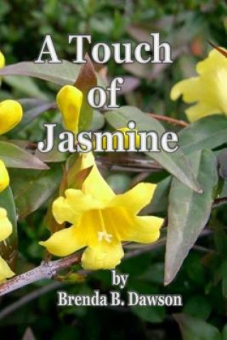 Kniha A Touch of Jasmine Brenda B Dawson