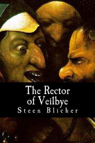 Boek The Rector of Veilbye Steen Blicher
