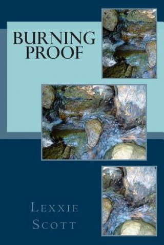 Buch Burning Proof Lexxie Scott