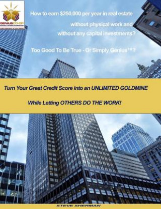 Kniha How to earn $250,000 per year in real estate without physical work and without any capital investments?: Turn Your Great Credit Score into an UNLIMITE MR Steve Sherman