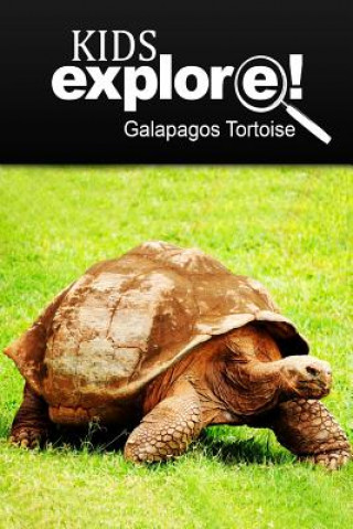 Książka Galapagos Tortoise - Kids Explore: Animal books nonfiction - books ages 5-6 Kids Explore!