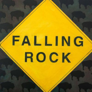 Kniha Falling Rock Rebecca Heller